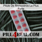 Pilule De Rhinocéros La Plus Forte 18